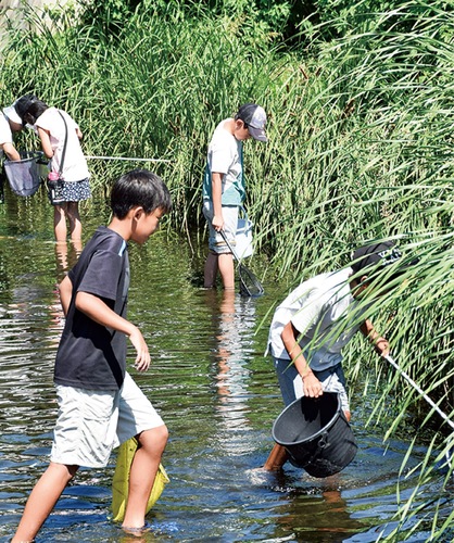 生物を探す子どもたち