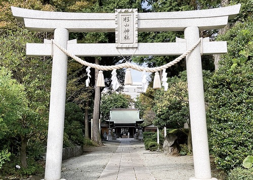 会場の星川杉山神社