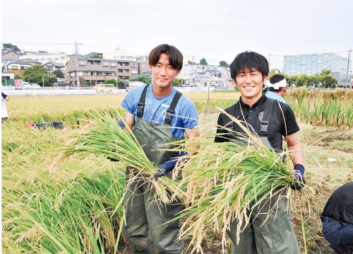 収穫した稲を手にする前田選手（左）