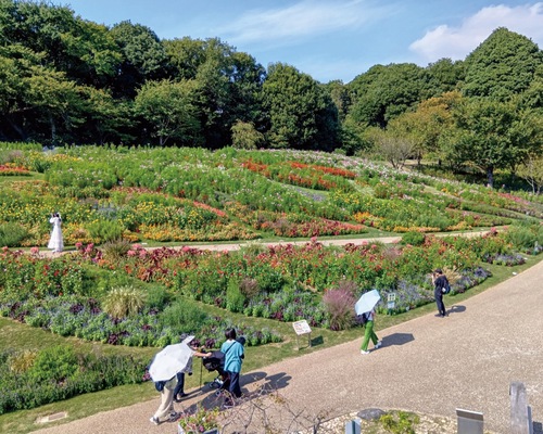 色づく大花壇※９月26日撮影