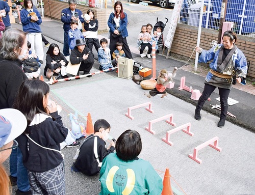 猿回しを見学する来場者