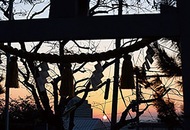 新年の幸運呼ぶ