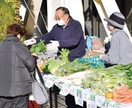 新鮮野菜が人気