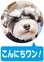 ミルキーJr.モカJr.モネのほどがや
