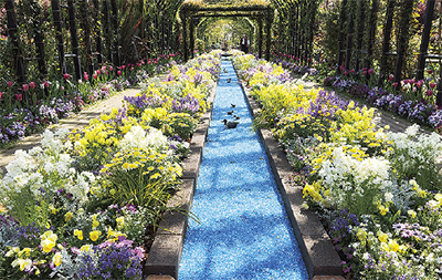 春のガーデンを満喫 横浜イングリッシュガーデン 横浜イングリッシュガーデン 保土ケ谷区 タウンニュース