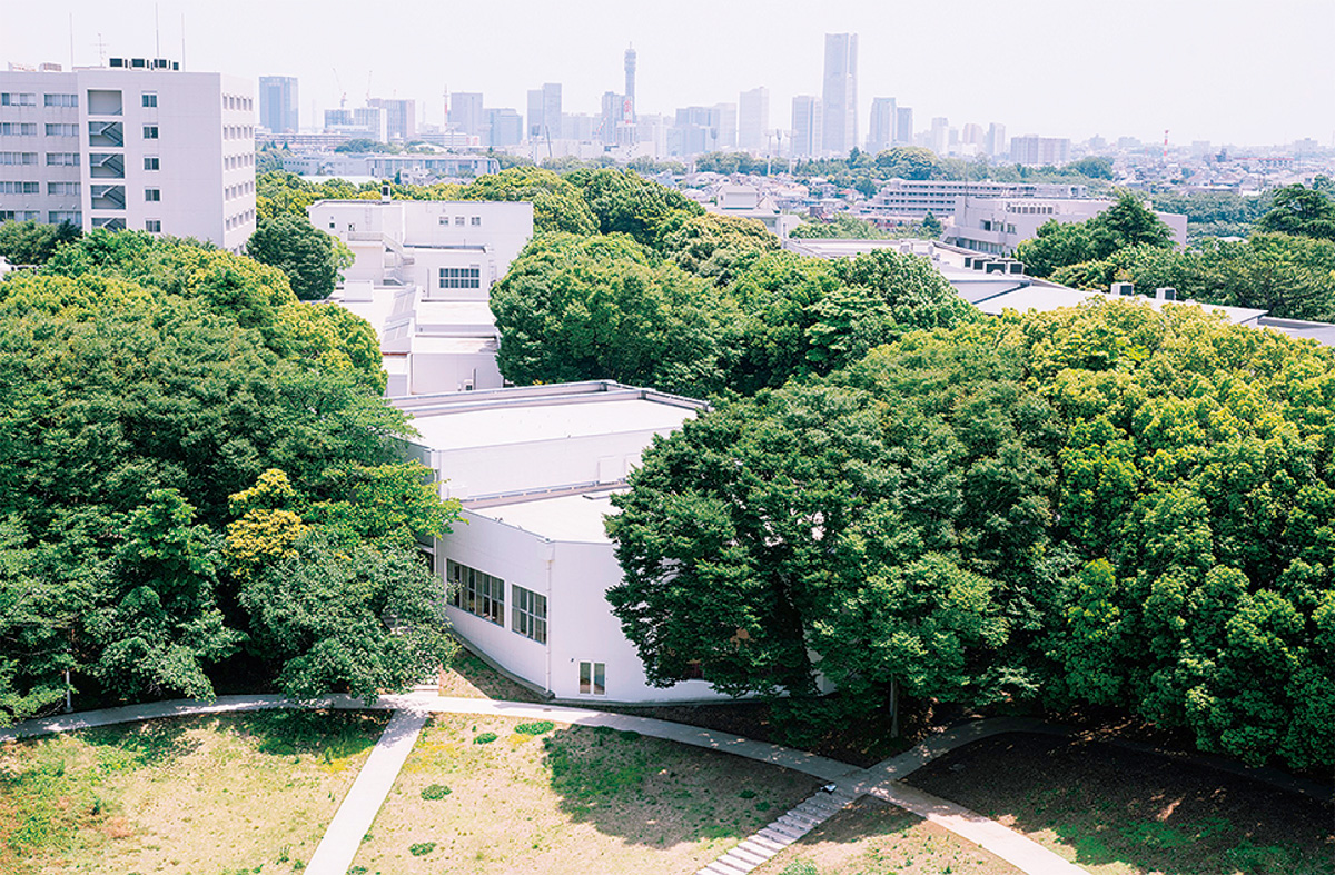 横浜国立大学基金 ときわの森プロジェクトがスタート 横浜国立大学卒業生 基金室 保土ケ谷区 タウンニュース