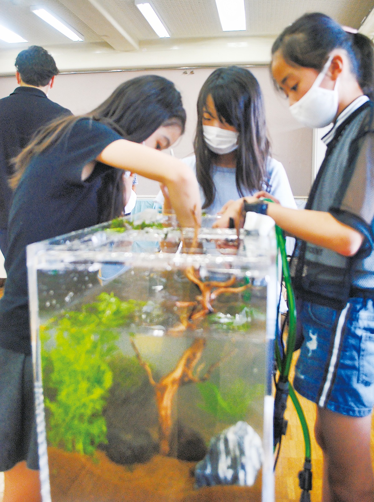 仏向小6年1組 水族館気分味わって アクアリウム水槽を製作 保土ケ谷区 タウンニュース
