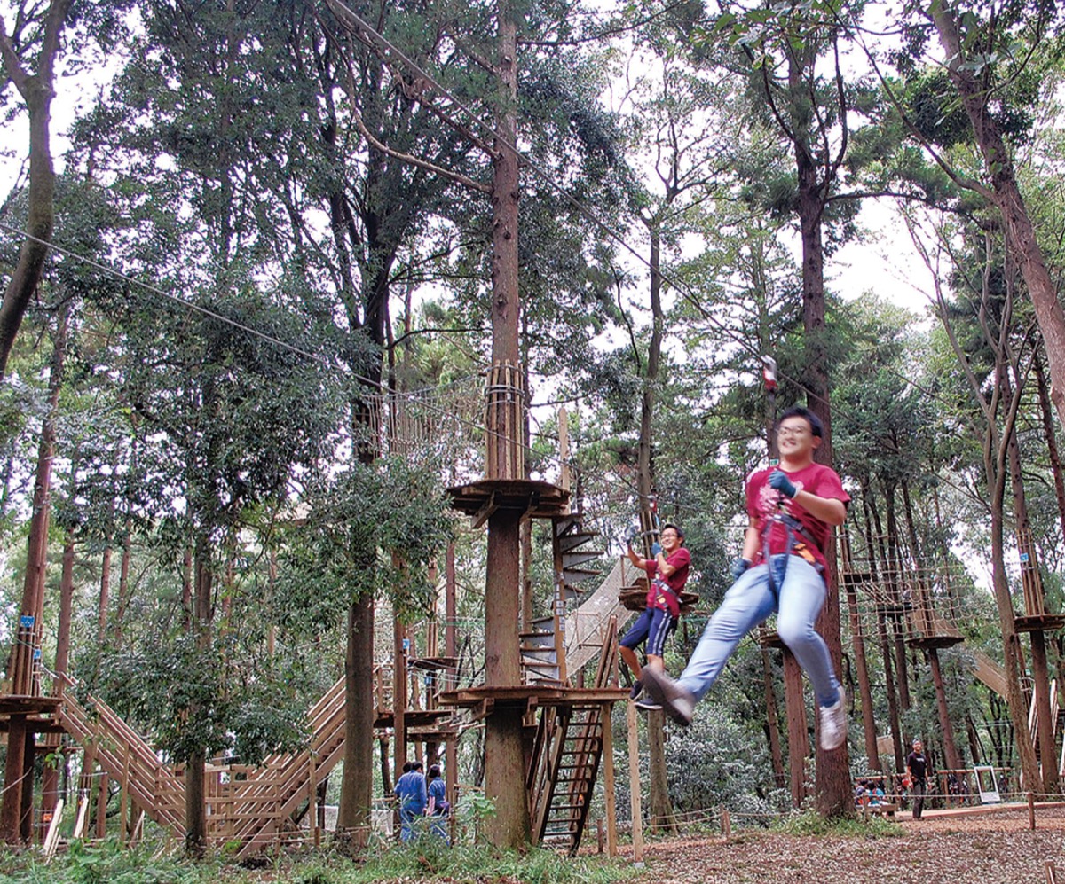 里山ガーデンフェスタ2021春 をレポート 横浜市内最大の大花壇は必見です おでかけインフォ