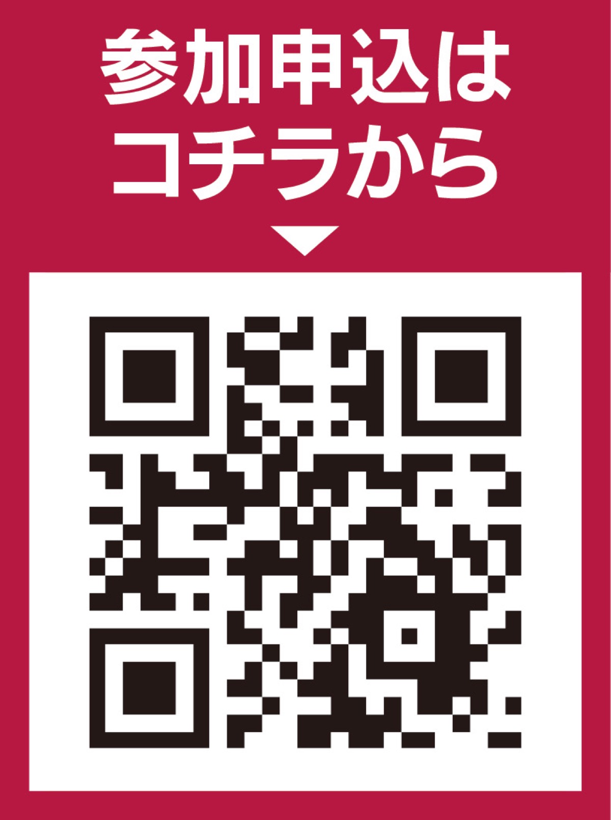 ｢プロギング｣上星川で開催 (写真2)