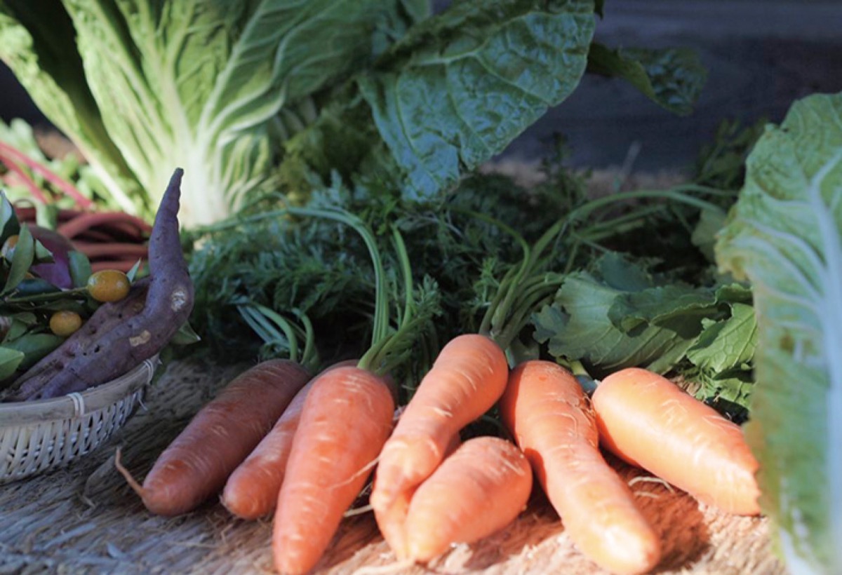 実りの秋に感謝捧げる