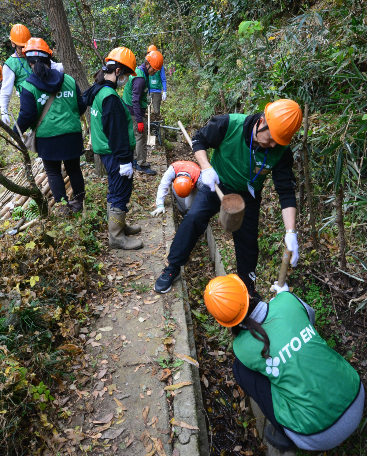 桜ヶ丘緑地の魅力を次世代へ