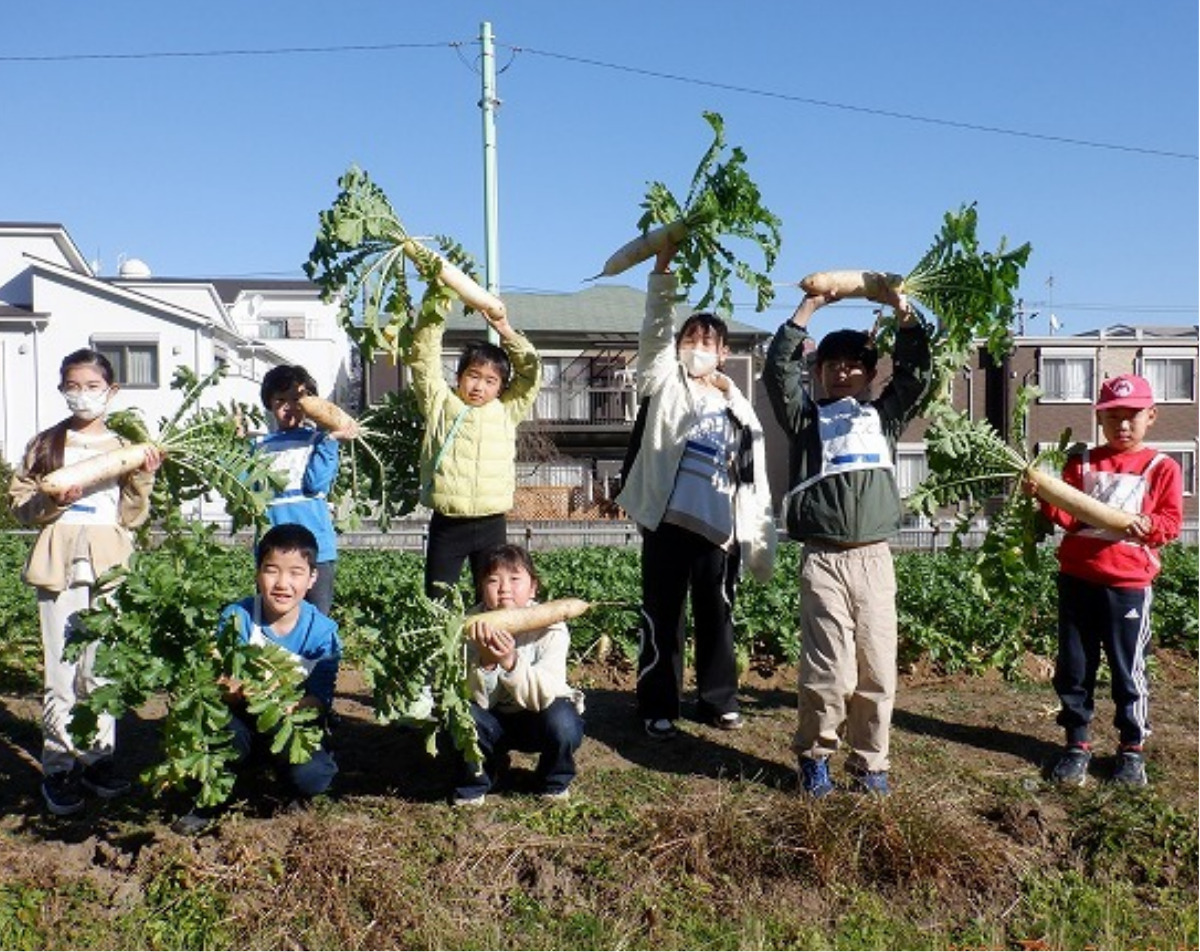 大根収穫に餅つき、｢ほどがや☆元気村｣の催し盛況