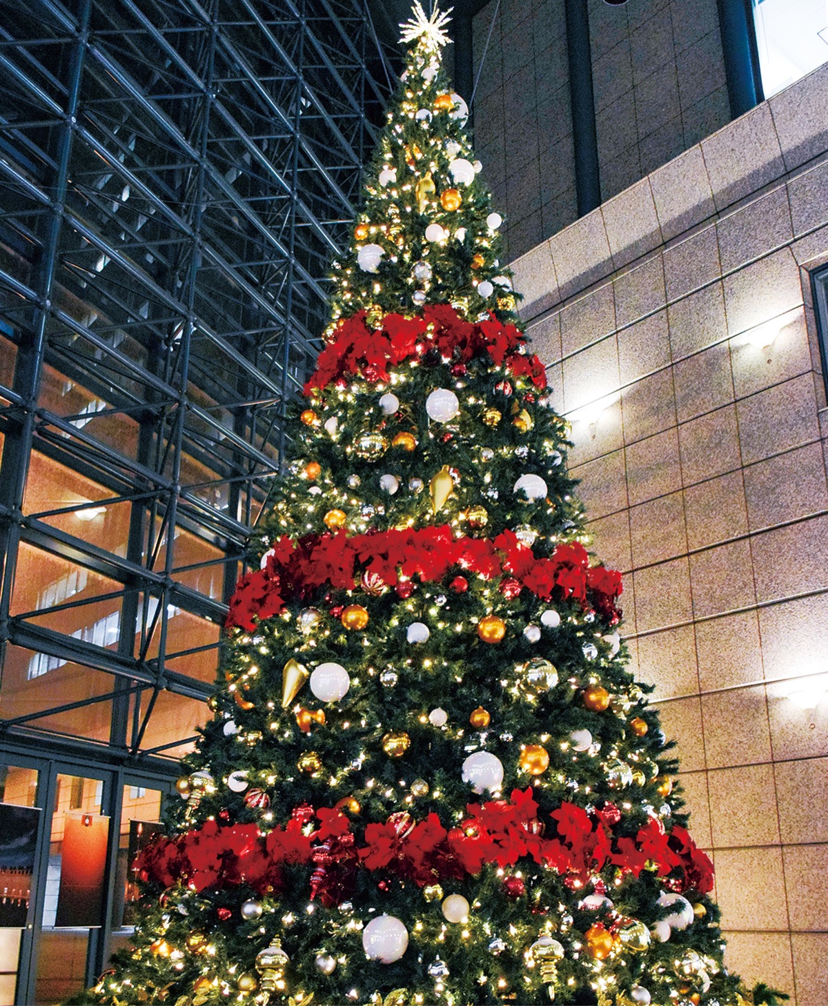 ＹＢＰに７ⅿの巨大ツリー