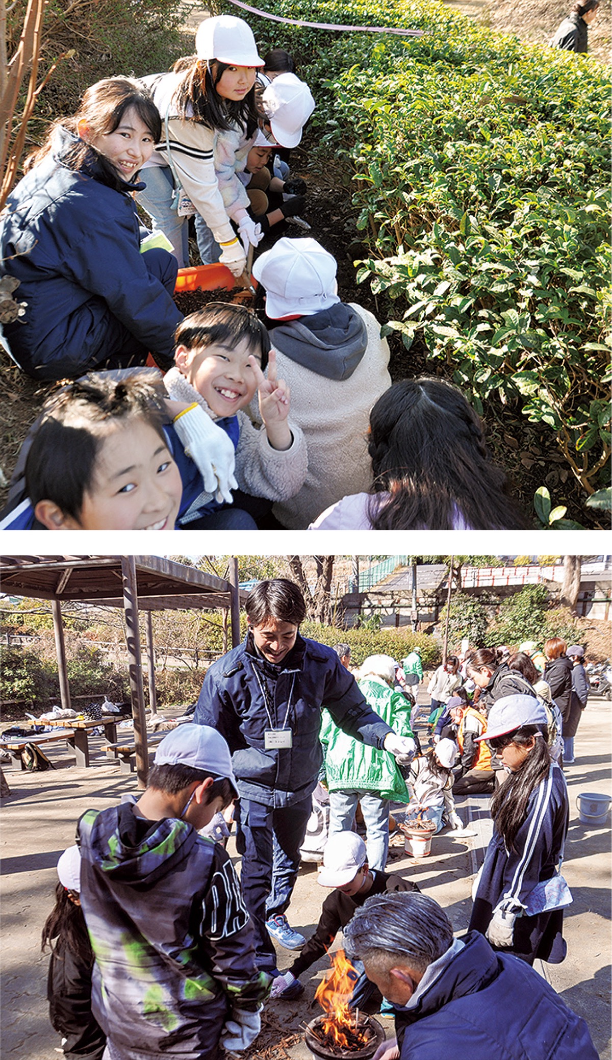 茶樹の会の活動で児童と交流する社員