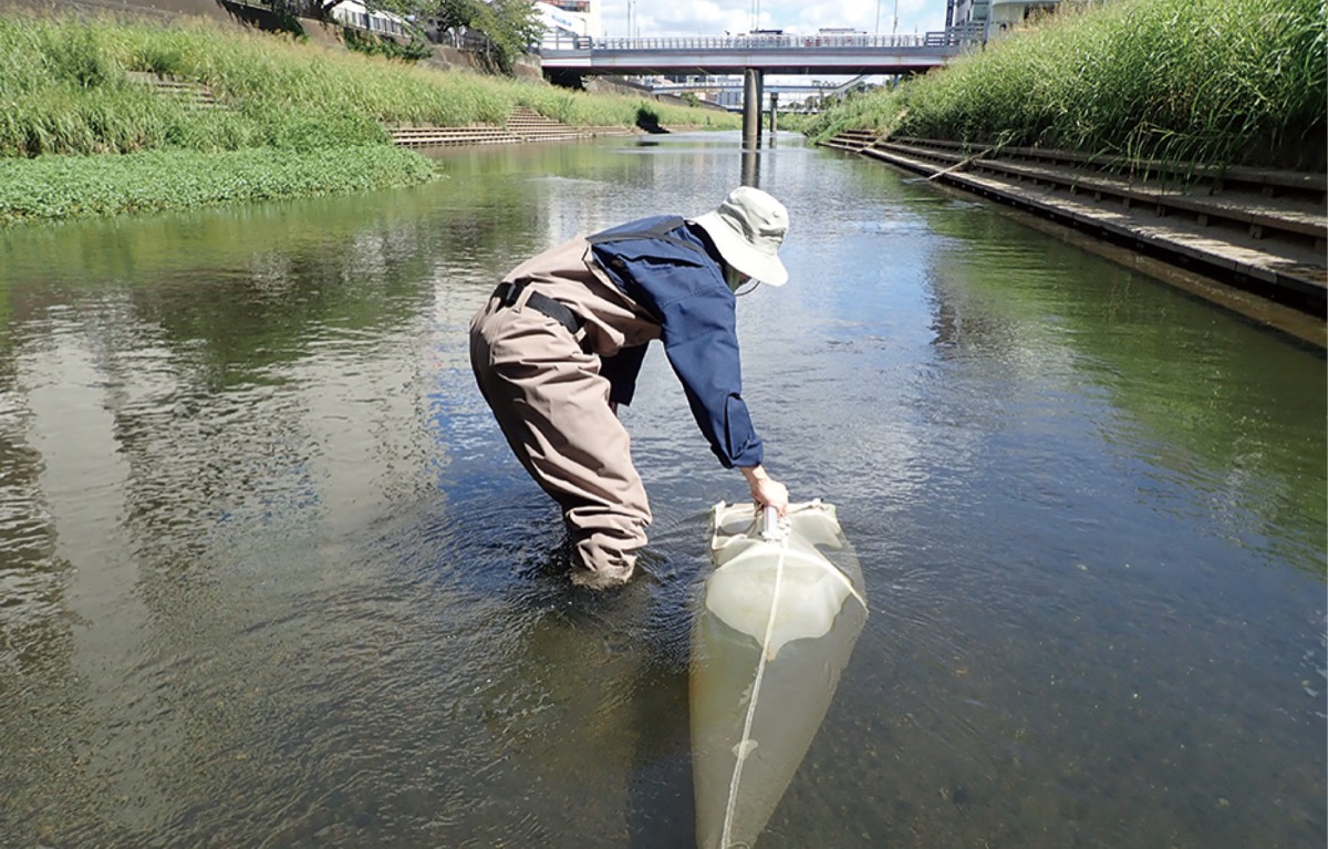 マイクロプラスチックを採取=同研究所提供