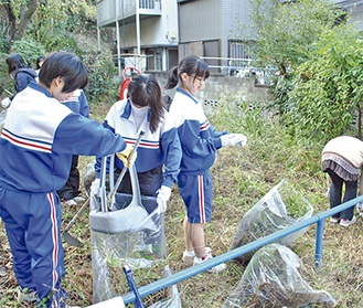 地域住民と清掃する生徒