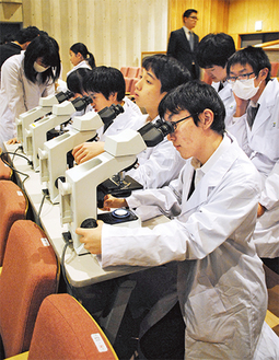 酵母を顕微鏡で観察する生徒
