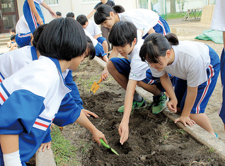 学校の花壇に種を植える生徒ら