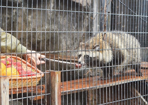 約半年PR大使を務めた「ウタ」