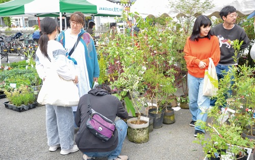 野菜の苗コーナーにも多くの人が
