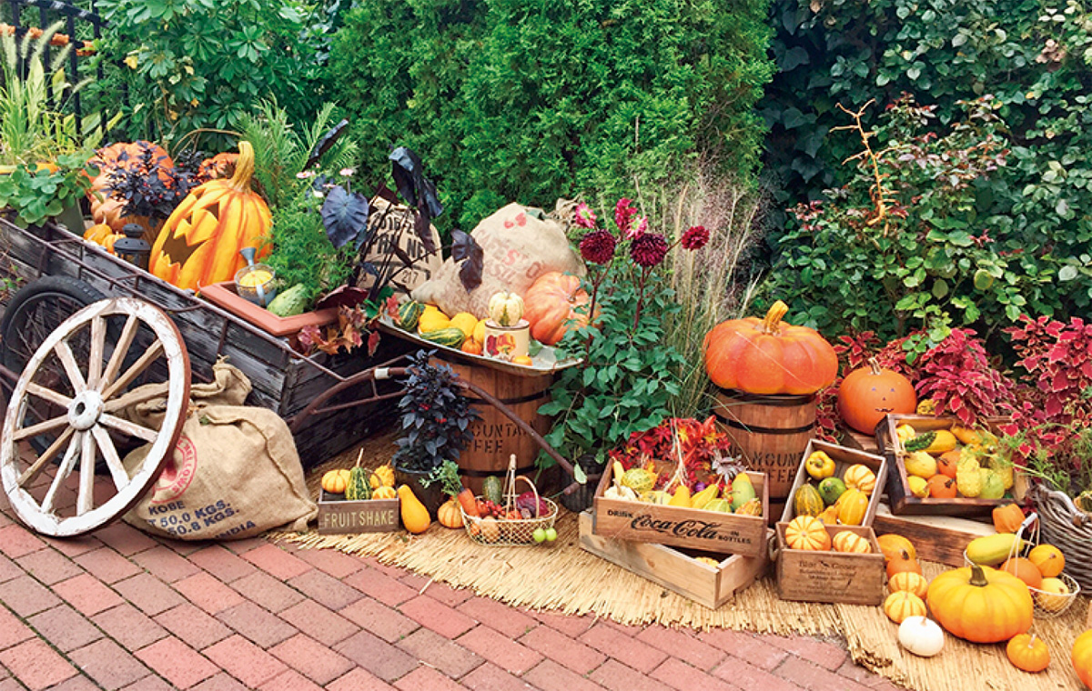 オータムガーデンフェア 横浜イングリッシュガーデン 横浜イングリッシュガーデン 鶴見区 タウンニュース オータムガーデンフェア 横浜イングリッシュガーデン 横浜イングリッシュガーデン 鶴見区 タウンニュース