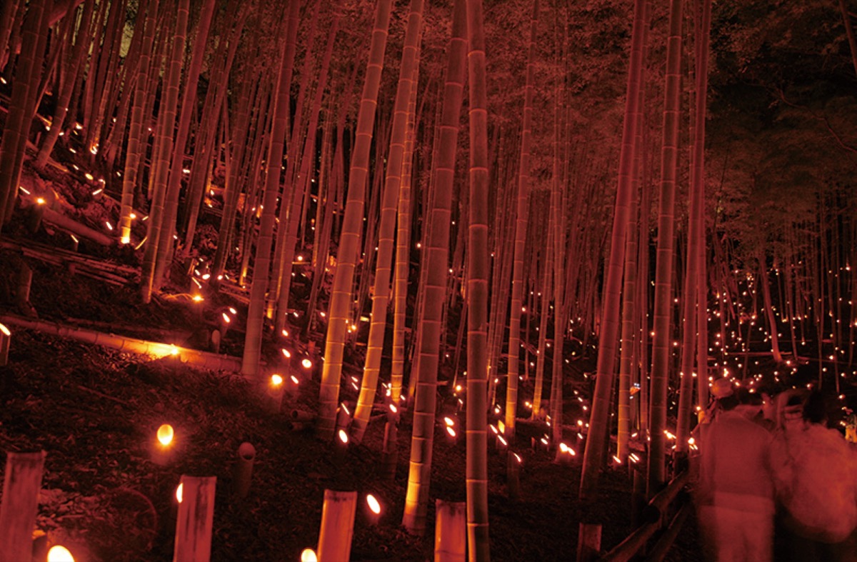 竹灯籠照らす幽玄の世界 11月4日､小机城址市民の森で | 鶴見区