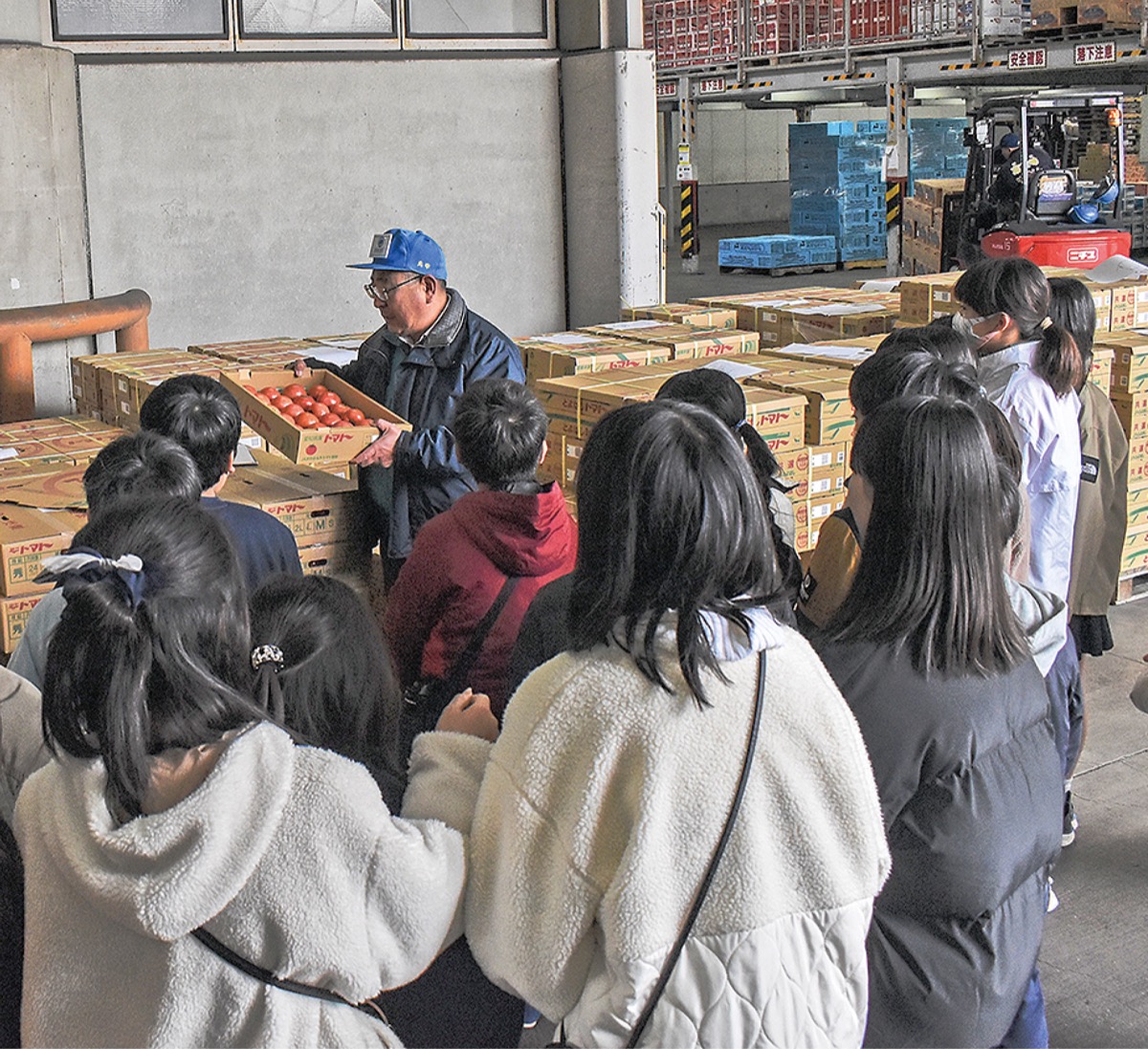 中央卸売市場を見学