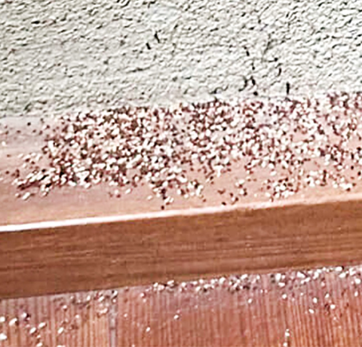 家、食べられてない!?