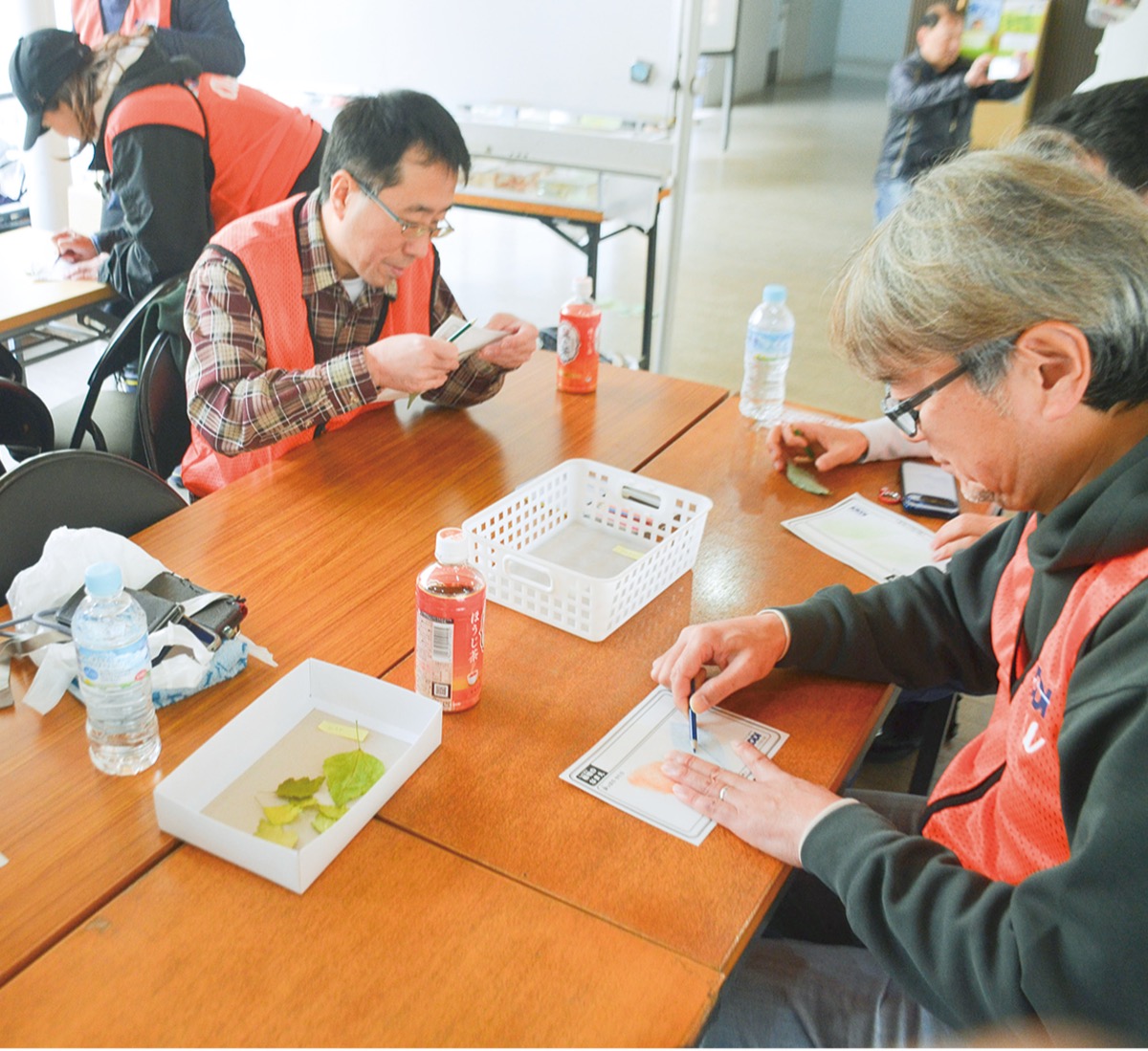 落ち葉拾い、樹名板を制作