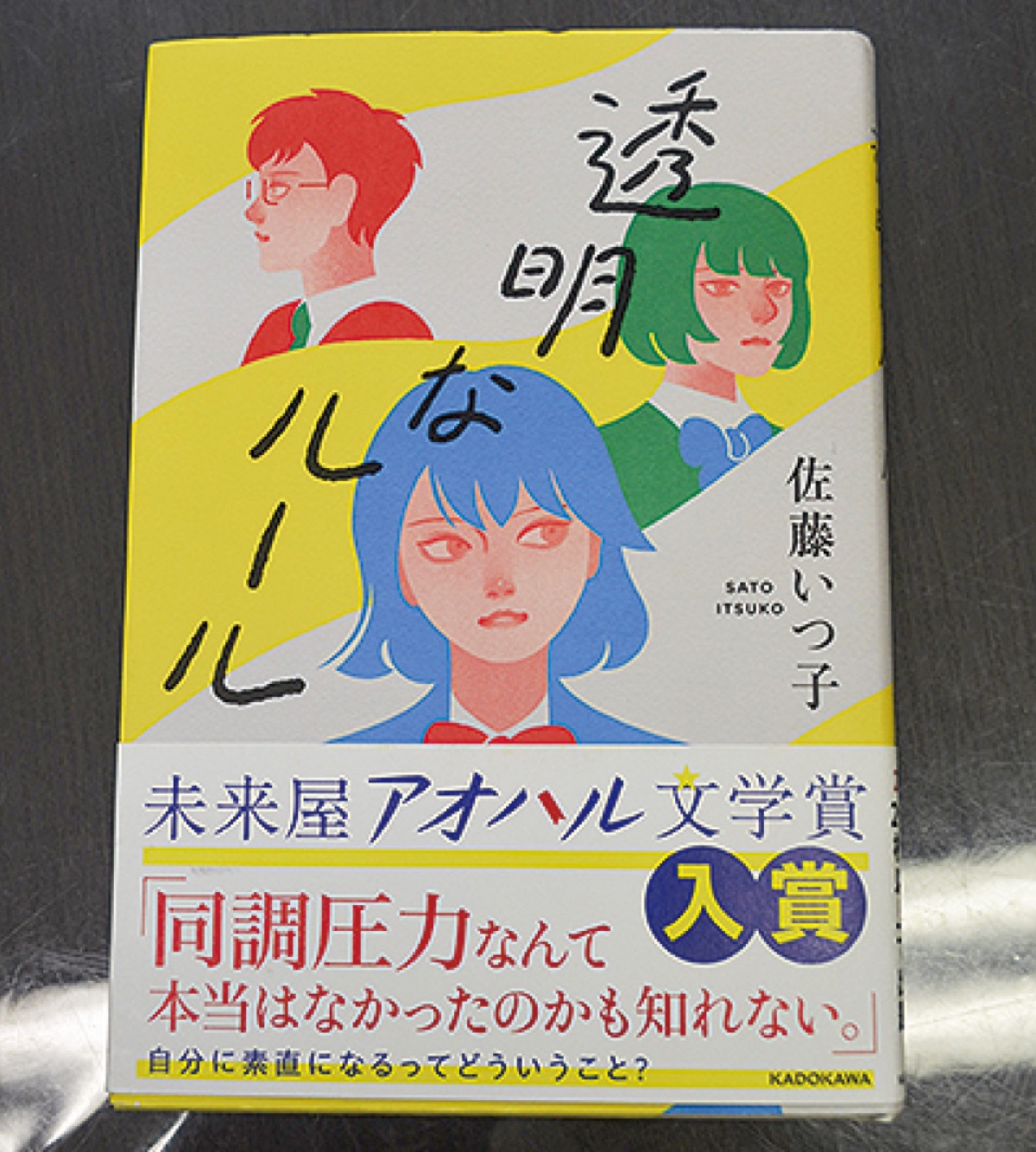 題材に選んだ『透明なルール』