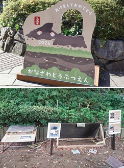 ２０２４年の干支撮影スポット（上）と夏に展示するモグラの坑道