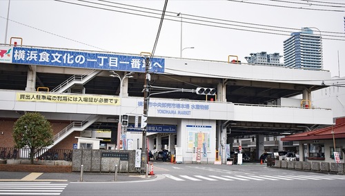 横浜市中央卸売市場
