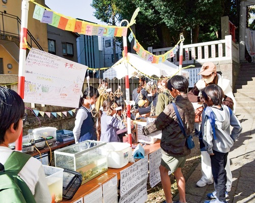 小学生による出展