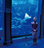 水族館が登録博物館に