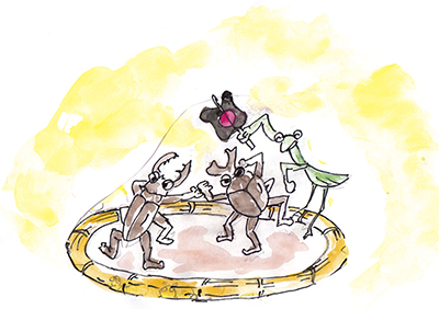 『森町の相撲大会』