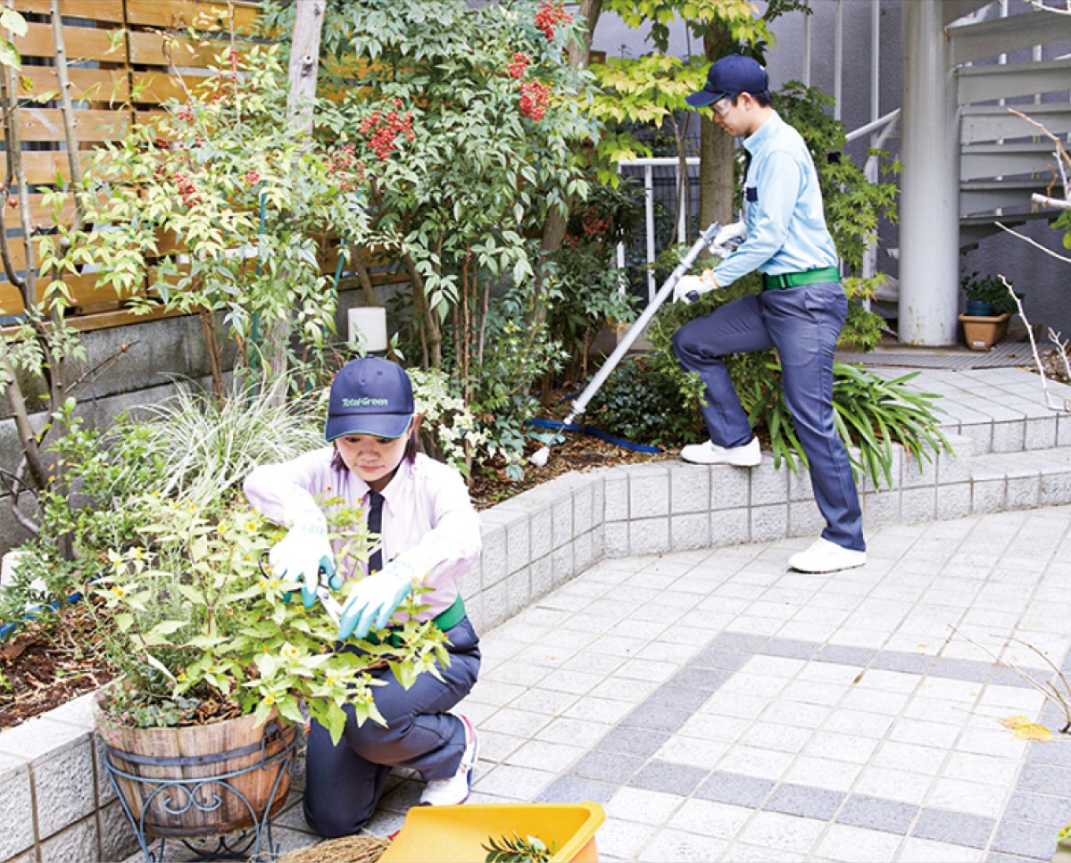 きれいな庭を手に入れよう
