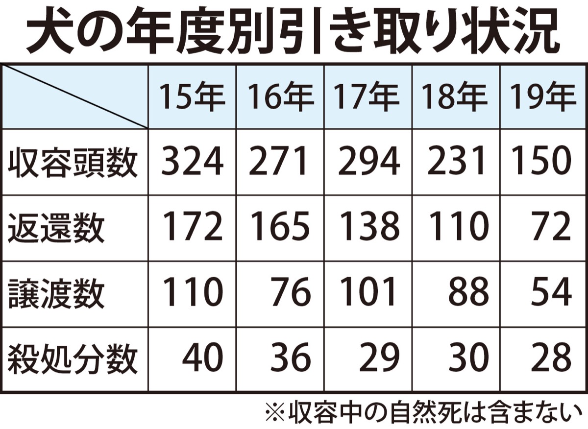 動物愛護センター 犬の殺処分過去最少に 引き取り 初の100頭台 神奈川区 タウンニュース 動物愛護センター 犬の殺処分過去最少に 引き取り 初の100頭台 神奈川区 タウンニュース