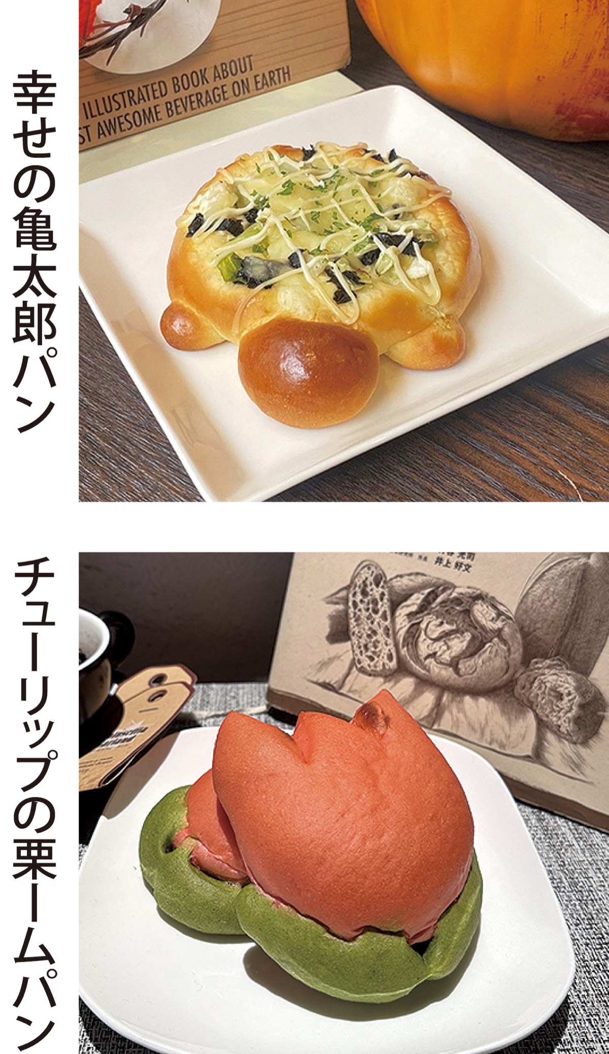 幸ケ谷小5年1組 区の魅力、パンで発信 西神奈川の専門学校が協力