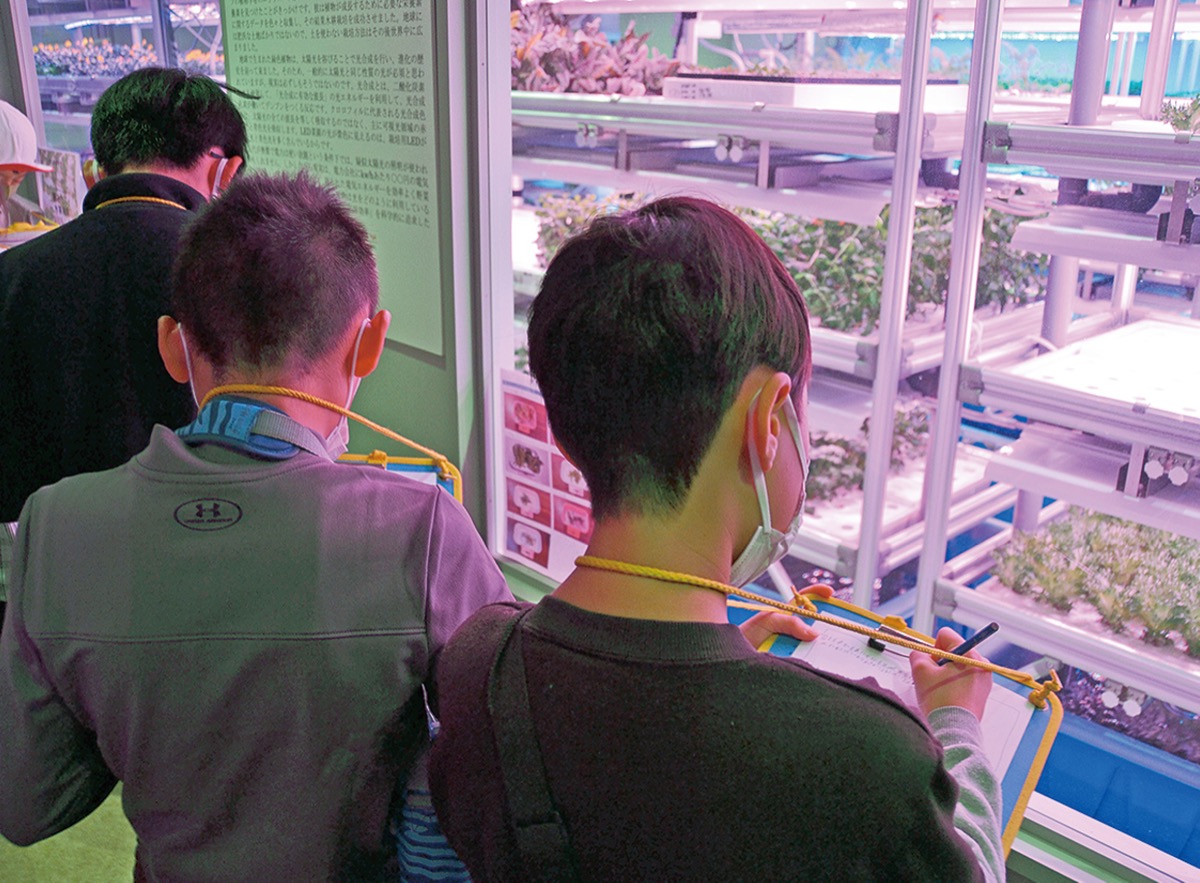 児童が６次産業 見て学ぶ