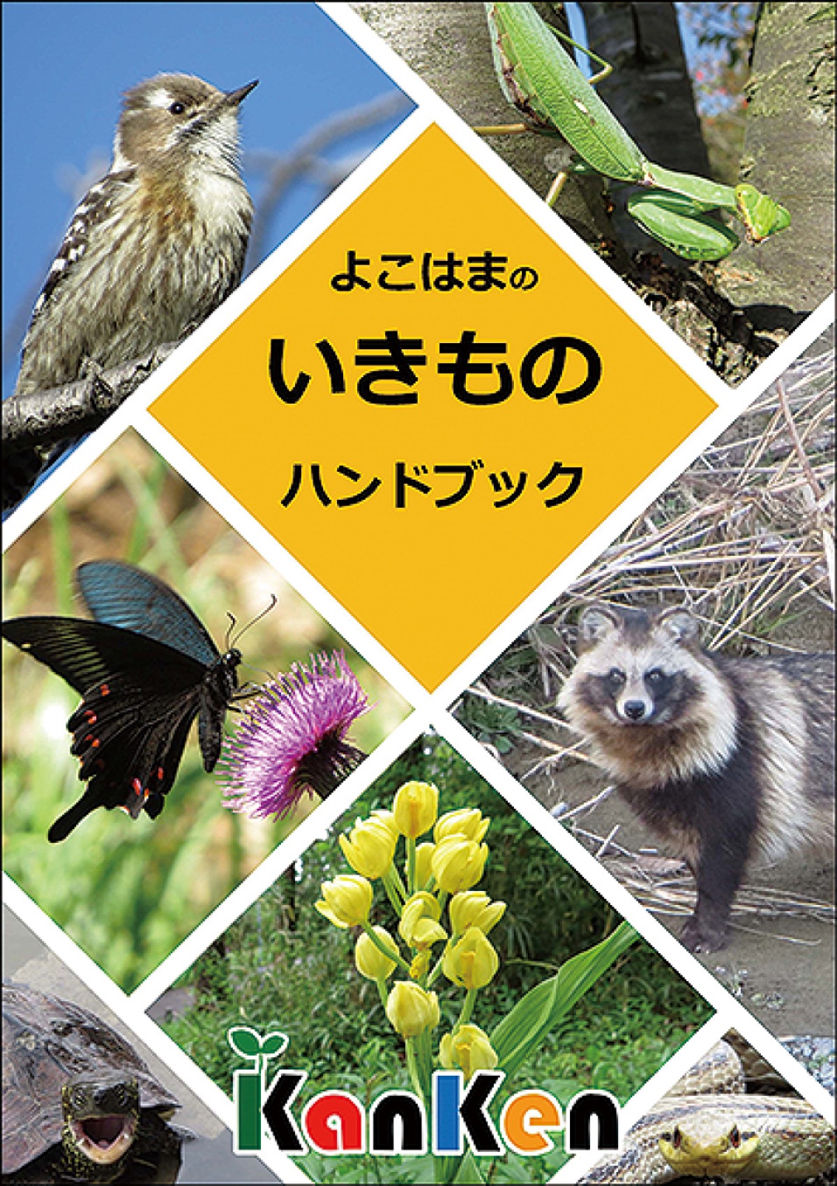 ハンドブックの表紙