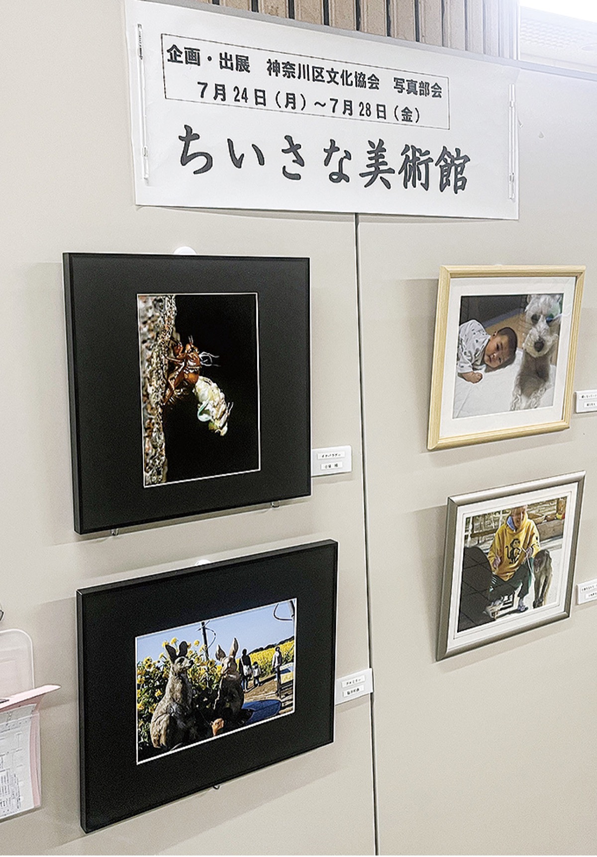 渾身の一枚が区役所を彩った