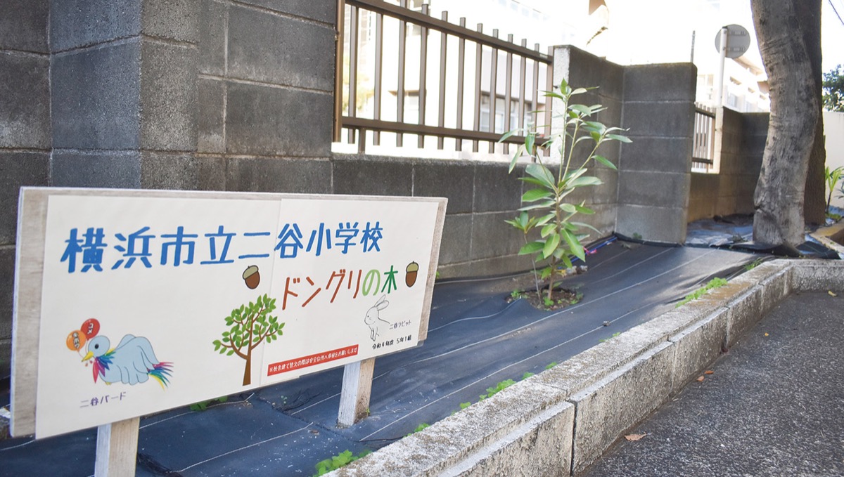 校舎は建て替えへ