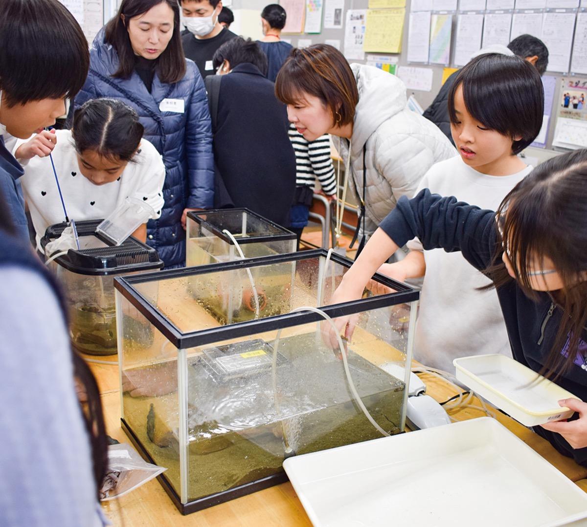 児童が学習成果を発表