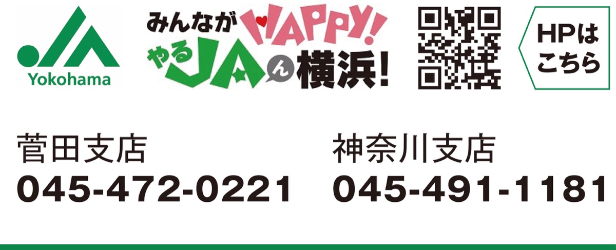 ついに金利｢１・087％｣ (写真2)