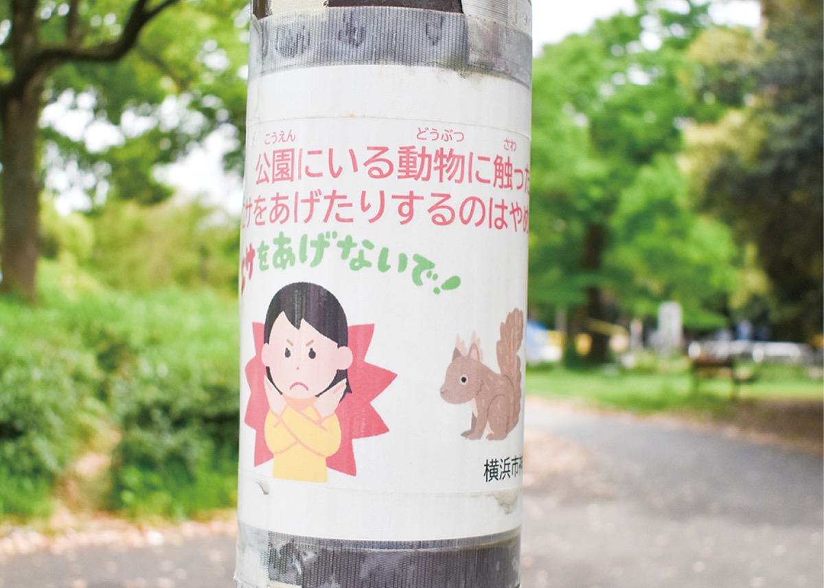 反町公園内の注意喚起文