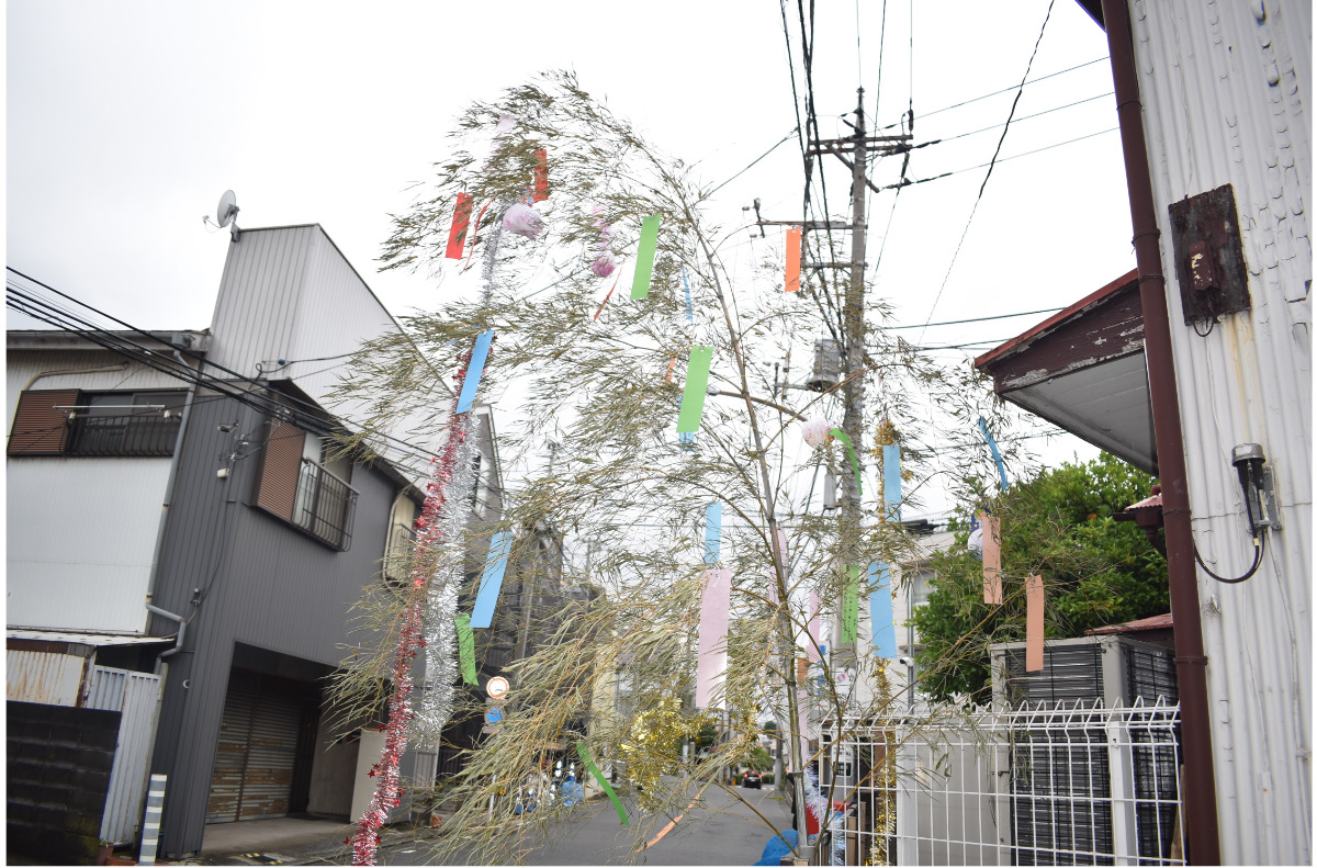 七島東町内会館前の笹飾り