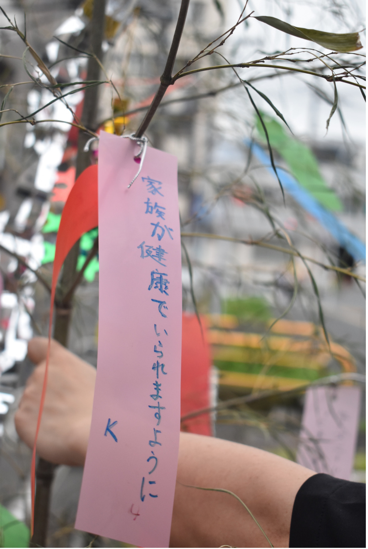 願い事が書かれた短冊