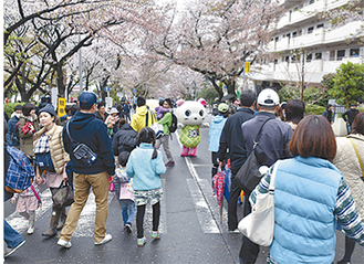 歩行者天国になった「さくら坂」で散りゆく桜を楽しむ人々