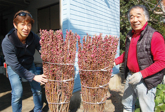 出荷目前の花桃を手に笑顔の吉田義一さん（右）と恵一さん