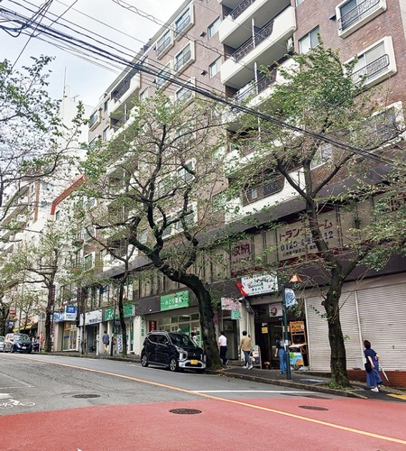 住宅地の区内最高価格となった｢鷺沼１丁目15番13｣周辺